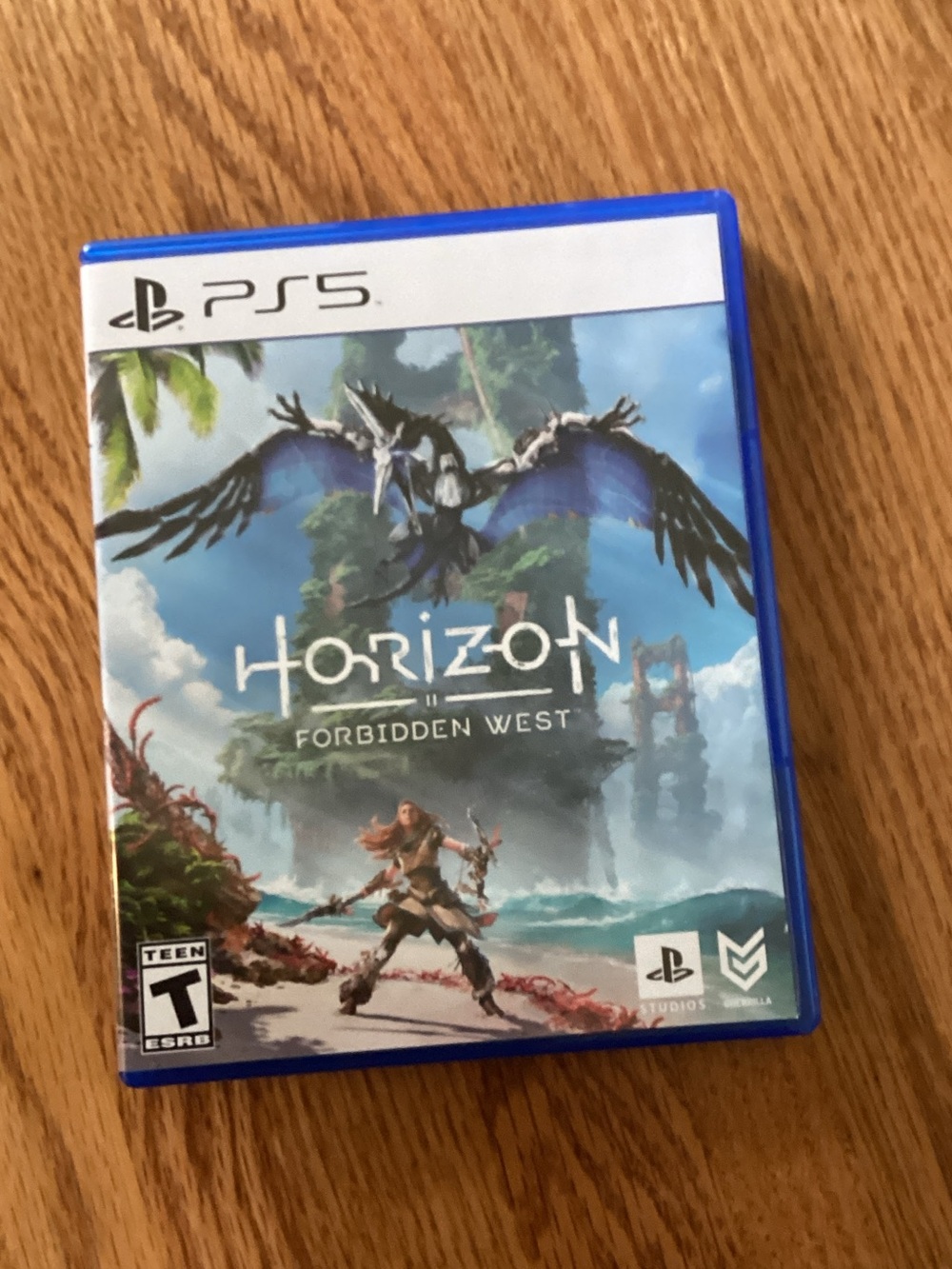 Sony PS5 Horizon Forbidden West — Blue Game Case